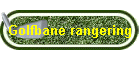 Golfbane rangering